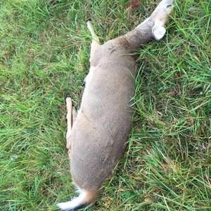 Meet your Posher, Caleb